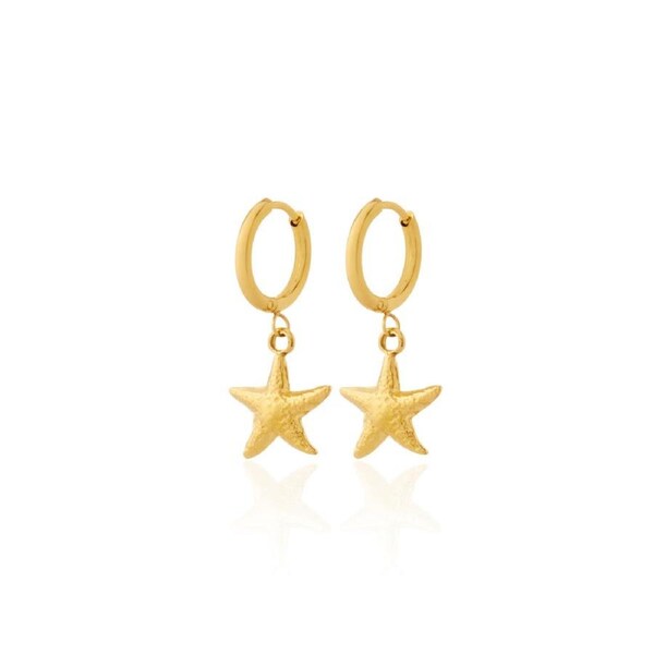 Amici by Ella - Star Earrings