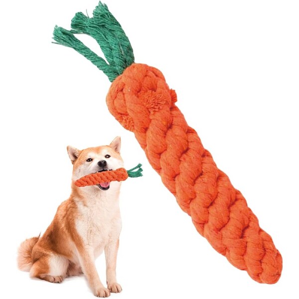 Velocity Dog Toy for Dogs and Puppies