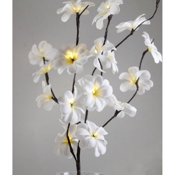 White Frangipani Stem Fairy Lights 50cm H 20 LED Battery Operated Table Decoration