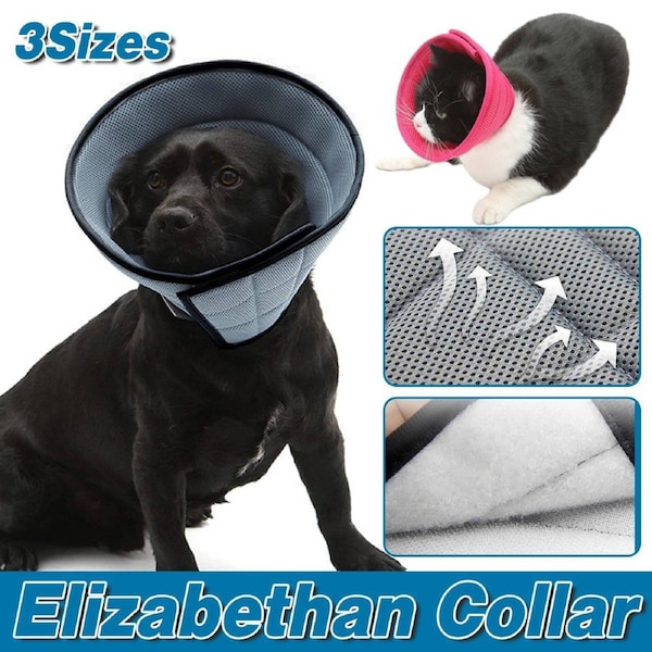Elizabethan Collar Anti Licking Biting Pet Collar for Cats and Dogs - Grey - Size 2