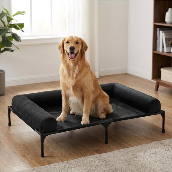 Elevated Dog Bed Raised Cot Bed for Large Extra Large Pet Portable Pet Travel Bed with Pillow Camping Outdoor Black