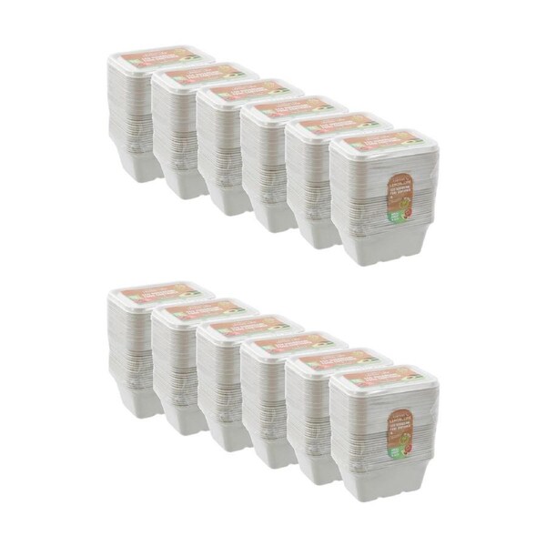 12x 20pc Lemon And Lime Eco Sugarcane Food Container Set 1L Capacity Assorted