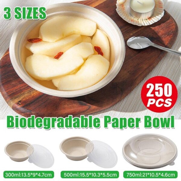 250PCS Disposable Bento Boxes - Food Preparation, 350ml, Primary Color