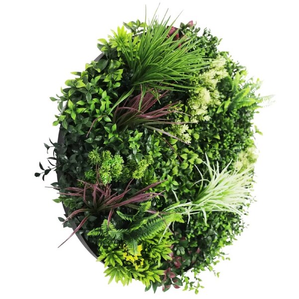 80cm Artificial Green Wall Disc Art - UV Resistant, Easy Installation, Fresh Colour