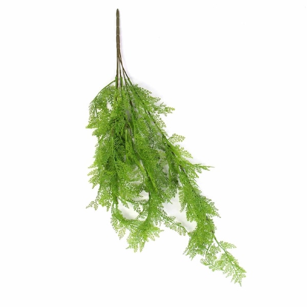Designer Plants 80cm Hanging Maidenhair Fern Bush UV Resistant - Low Maintenance, Air Purifying