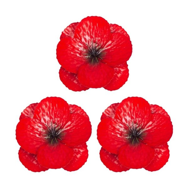 3PK Small Decorative Garden Wall Poppy Flower Ornament W/ Hook Red