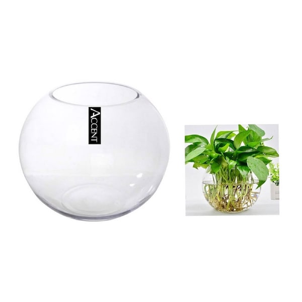 Glass Fish Bowl 39x35cm - Clear Round Glass Bowl for Home & Events