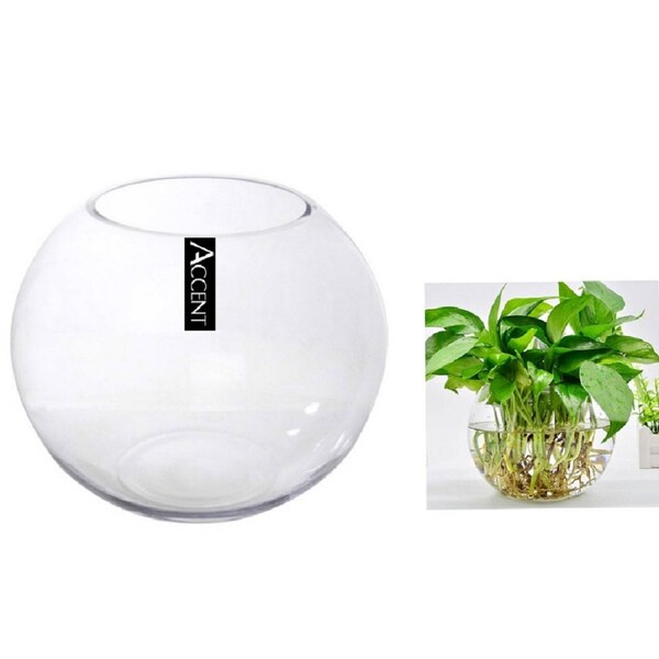 Glass Fish Bowl 19x17cm - Clear Round Glass Bowl for Home or Event Display
