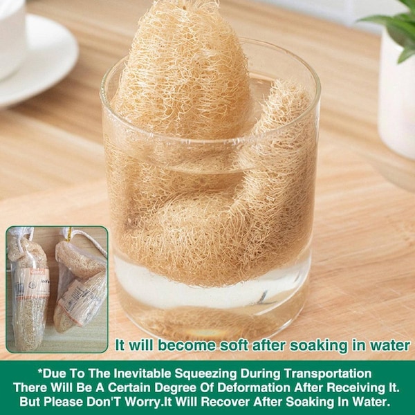 Natural Loofah Sponge Kitchen Scrubber Set - 5 Pack, Eco-Friendly, Non-Scratch, 20-29 cm