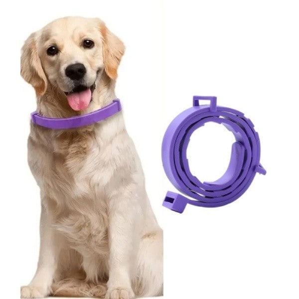 Purple 63.5cm Adjustable Flea Tick Collar for Dogs