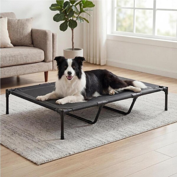 Pawz Elevated Dog Bed Heavy Duty Portable Cot Waterproof Pet Raised Bed XL Size