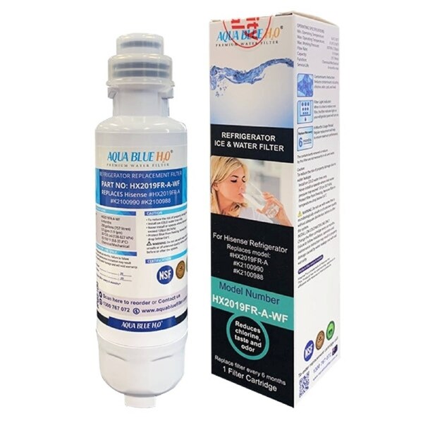 Premium Hisense Fridge Filter K2100990 K2100988 HX2019FR-A