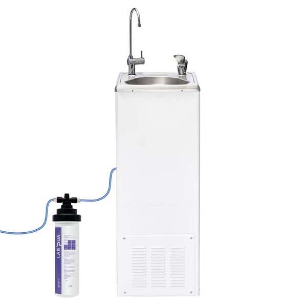Economaster 60 BCF 19 with Lab Pua LPA-CB5-10 (5um Carbon Block, 10'L)
