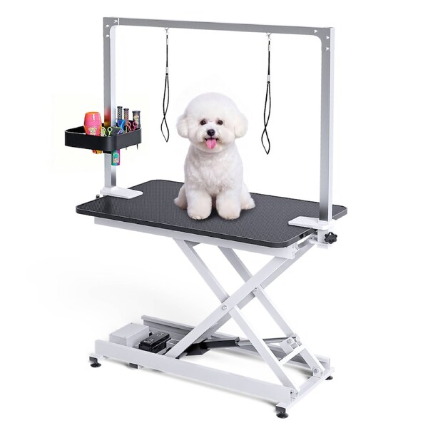 Advwin Electric Lift Pet Table Heavy Duty Dog Height Adjustable Table with 2 Loops