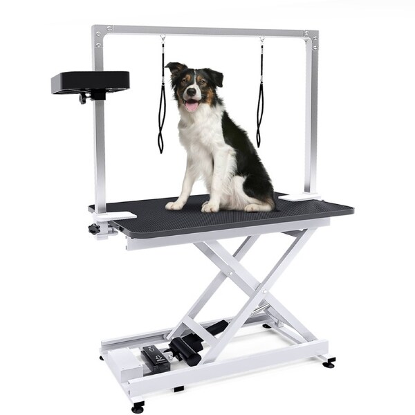 Advwin Pet Electric Lift Table Heavy Duty Dog Height Adjustable Table with 2 Loops