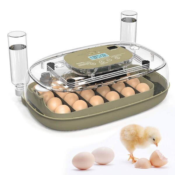 Advwin 24 Eggs Incubator with Temperature Humidity Display and Automatic Egg Turning Function