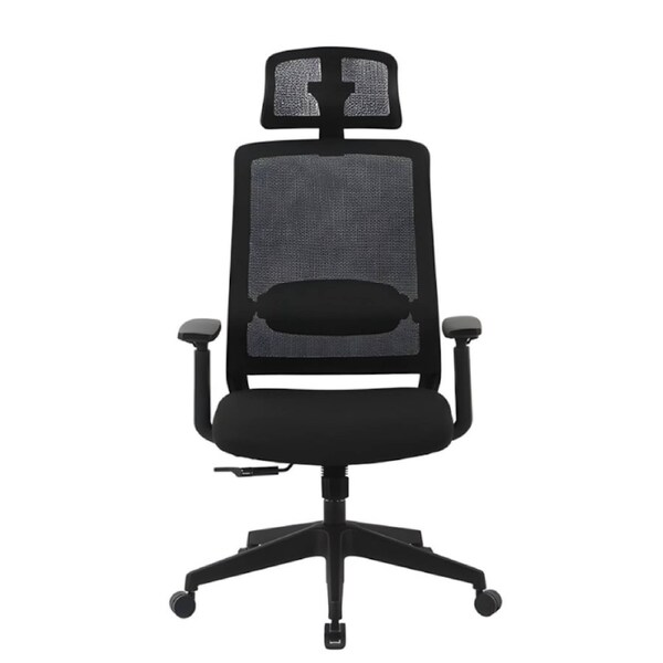 Ergonomic Office Chair with Synchronized Tilt & Adjustable Headrest