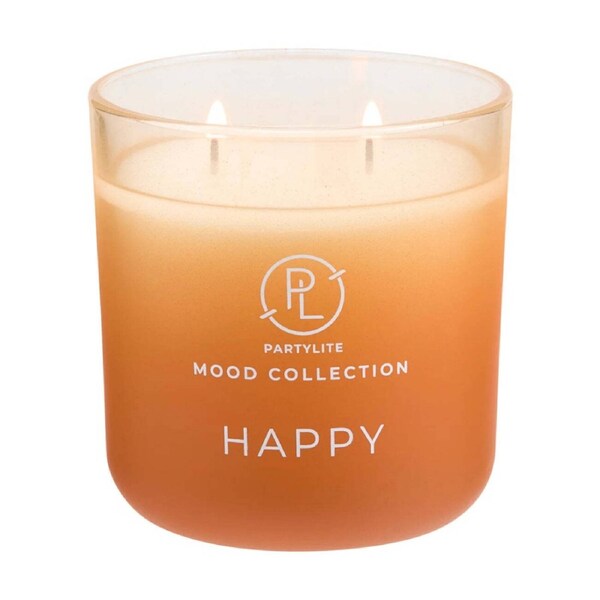 Partylite Happy Ombre 2-Wick Scented Coconut Soy Candle Jar Purple