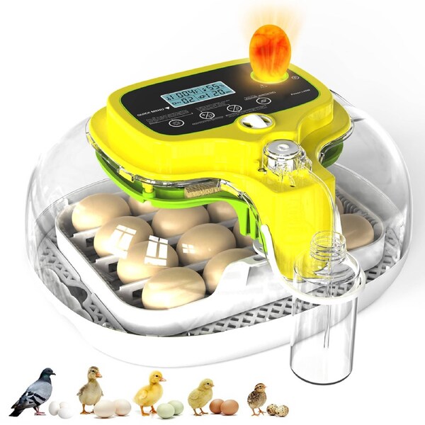 Advwin 16 Eggs Automatic Incubator with Temperature Humidity Control Auto Egg Turning
