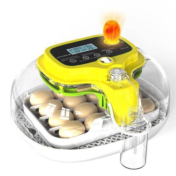 Advwin 16 Eggs Automatic Incubator with Temperature Humidity Control Auto Egg Turning