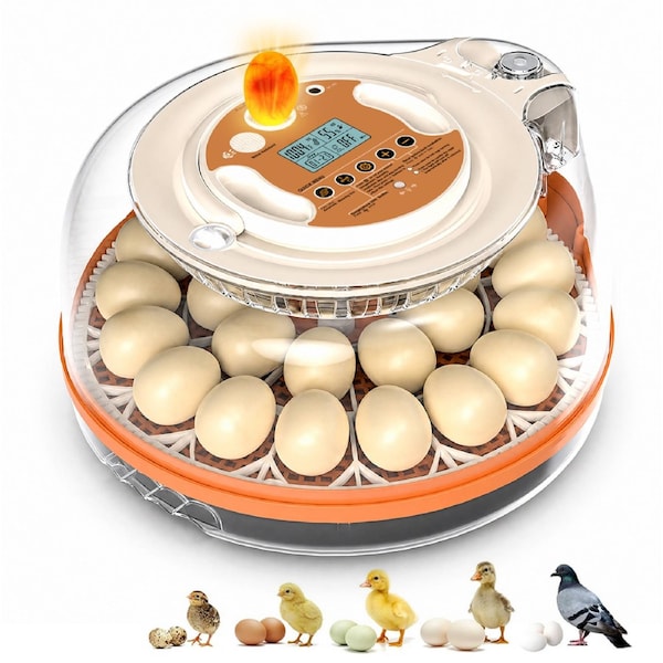 Advwin 26 Eggs Automatic Incubator with Smart Voice Control for Chicken Duck Goose Quail