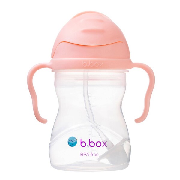 B.Box Children's Sippy Cup V2 Silicone Spout Spill-Proof Tutti Frutti 240ml