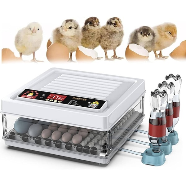 CARLA HOME 70 Egg Incubator with Automatic Turning, LED Display, Humidity & Temperature Control, Auto Water System & Built-in Egg Candler for Chicken, Duck, Quail, Goose