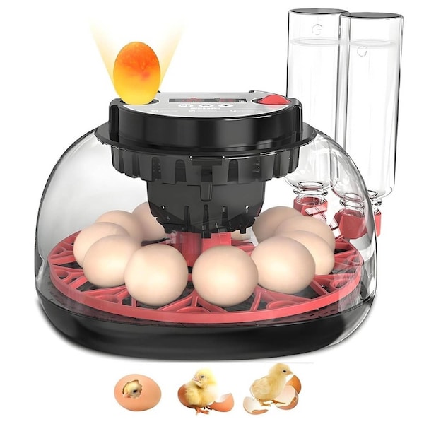 CARLA HOME 12 Egg Incubator with Automatic Turning, LED Display, Humidity & Temperature Control, Auto Water System & Built-in Egg Candler for Chicken, Duck, Quail, Goose