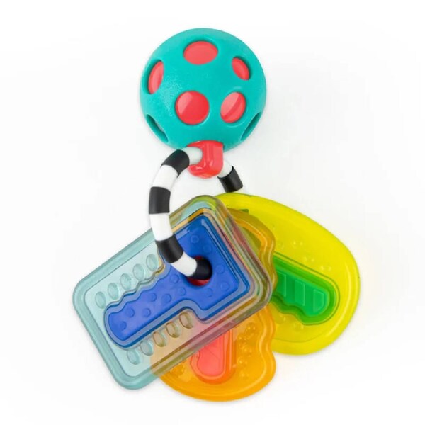 Sassy Baby - Drive n' Drool Keys