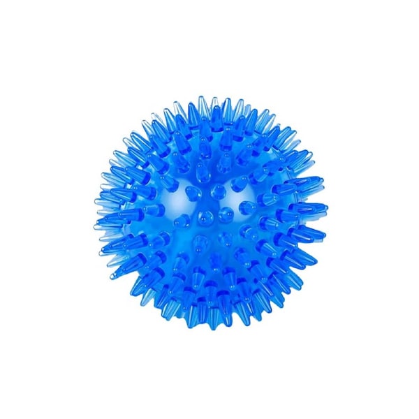 Anypet Rubber Chew Ball Dog Toy Blue