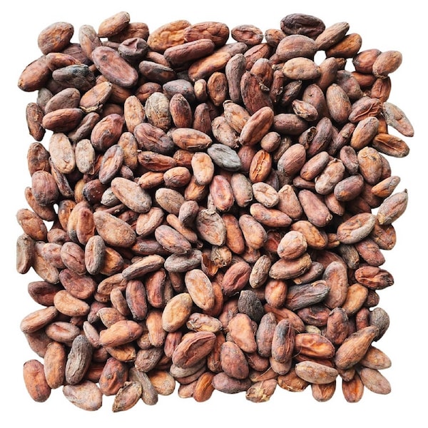 Unroasted Dried Cocoa Beans by Cocoa Maya - Wewak Papua New Guinea 1.5kg