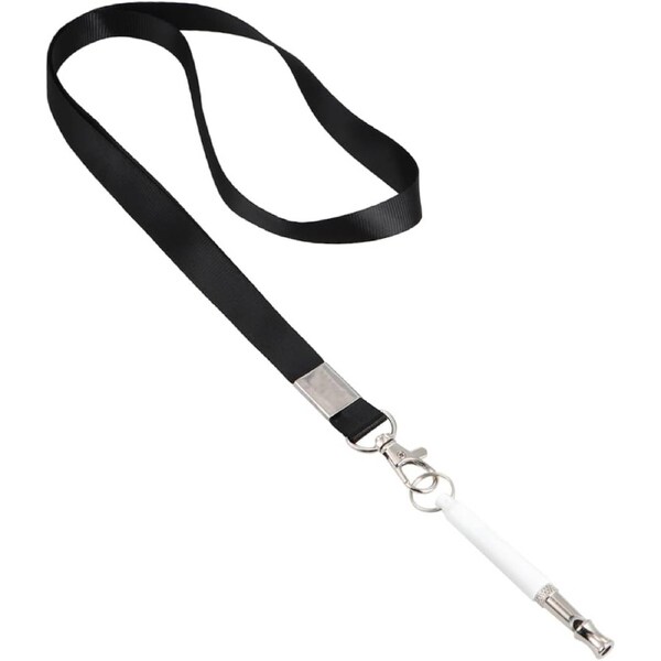 2 Pack Metal Squeaky Interactive Dog Rope Chew Toy for Dogs