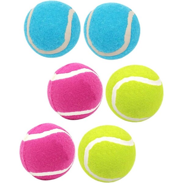6 Pack Rubber Interactive Dog Ball Toy for Puppies and Dogs