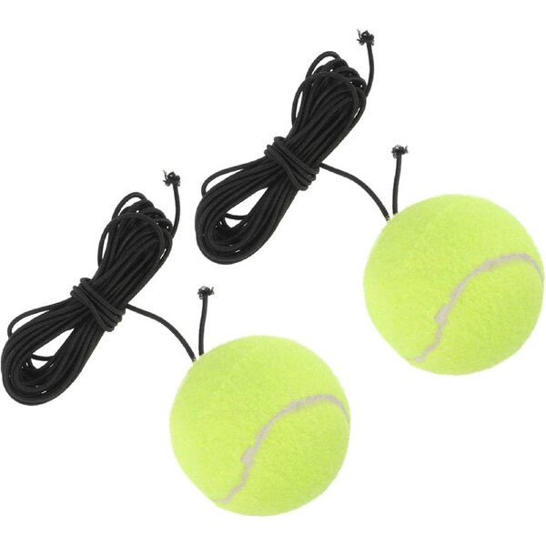 2 Pack Rubber Interactive Dog Tennis Balls for Dogs