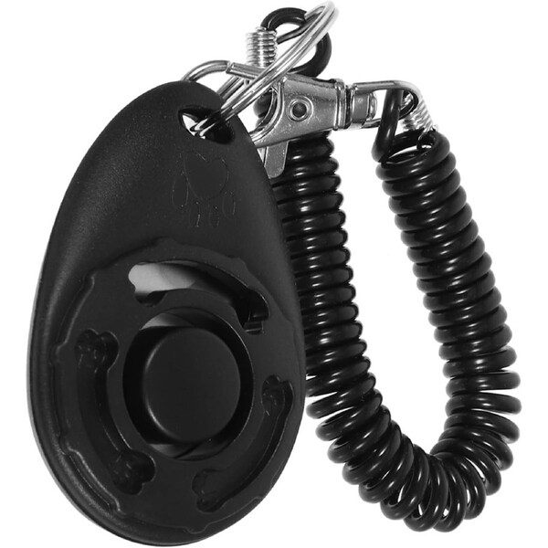 ABS Squeaky Interactive Dog Chew Toy for Dogs