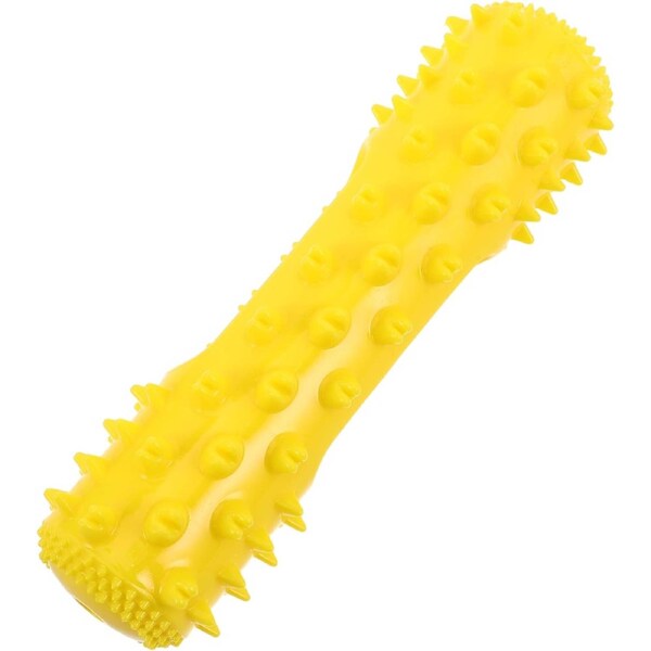 Bone TPR Squeaky Dog Chew Toy for Small Dogs