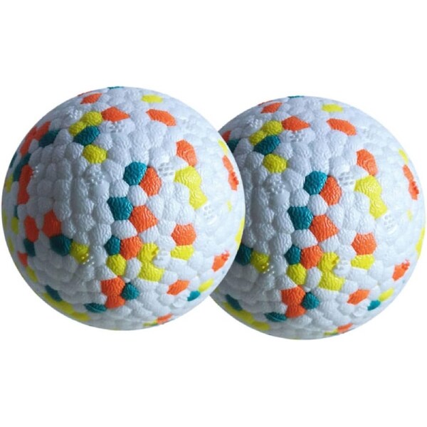 2 Pack Dog Ball Toy for Small Dogs for Indoor and Outdoor Play