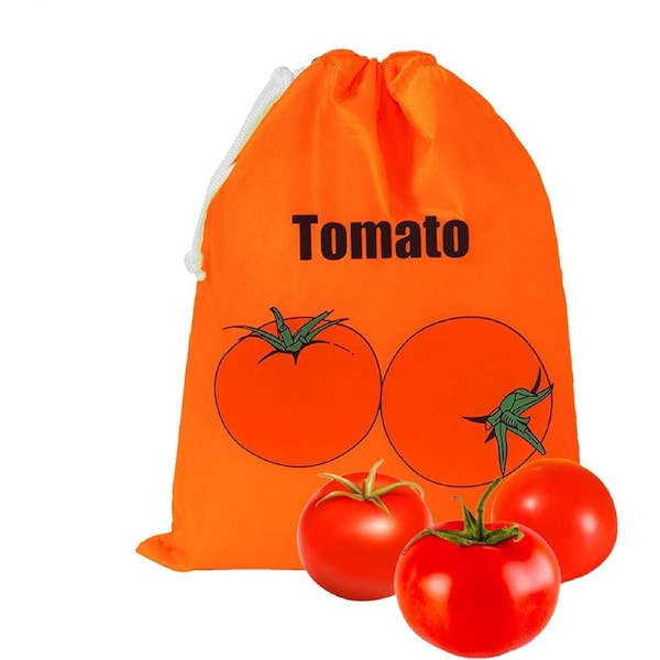 Velocity Lettuce Storage Container, Lettuce Container Vegetable Bags, Apartment