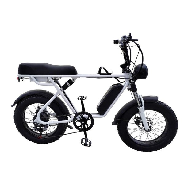 Eeeza R1ZCC 750W Fat Tire Electric Bike - 60km range and dual suspension White