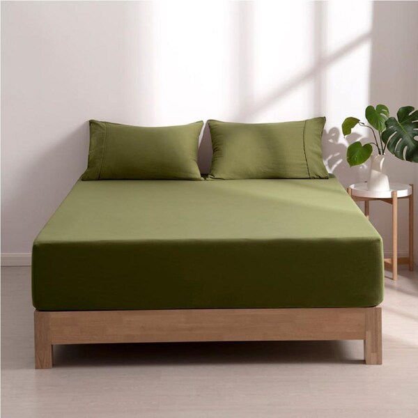 Dreamaker Superfine Washed Microfibre Combo Fitted Sheet Set Olive (Single, King Single, Double, Queen, King, Super King) King