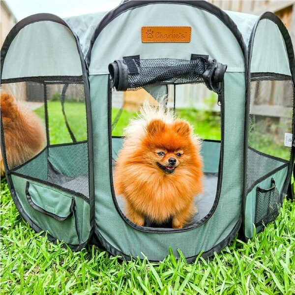 Charlie's Adventure Pet Playpen Foldable Portable Crate Sage (Small, Medium, Large) Medium