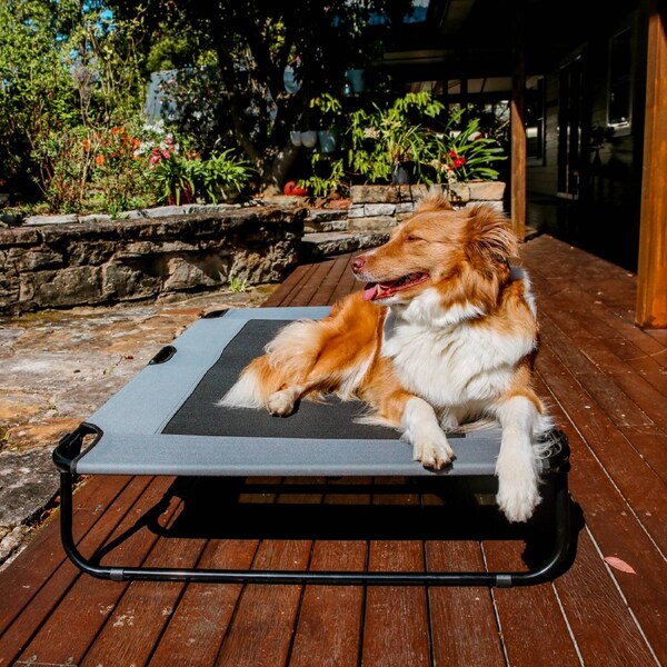 Charlie's Adventure Foldable Travel Trampoline Dog Bed Grey (Large, Extra-Large) Large