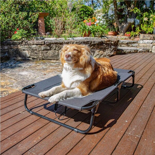 Charlie's Adventure Foldable Travel Trampoline Dog Bed Black (Large, Extra-Large) Large