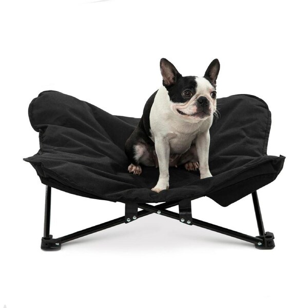 Charlie's Foldable Outdoor Camping Dog Bed Black (Medium, Large) Medium