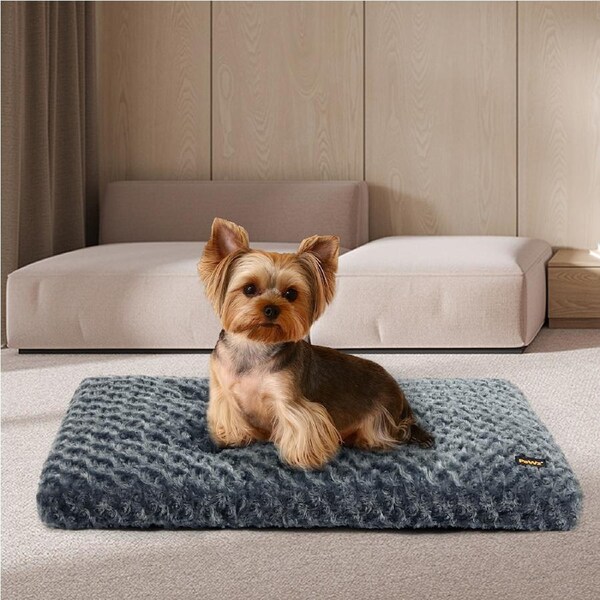 Pawz Dog Bed Pet Calming Washable Soft Warm Plush Mattress Cushion Extra Large 24'' (57cm x 40cm x 8cm)