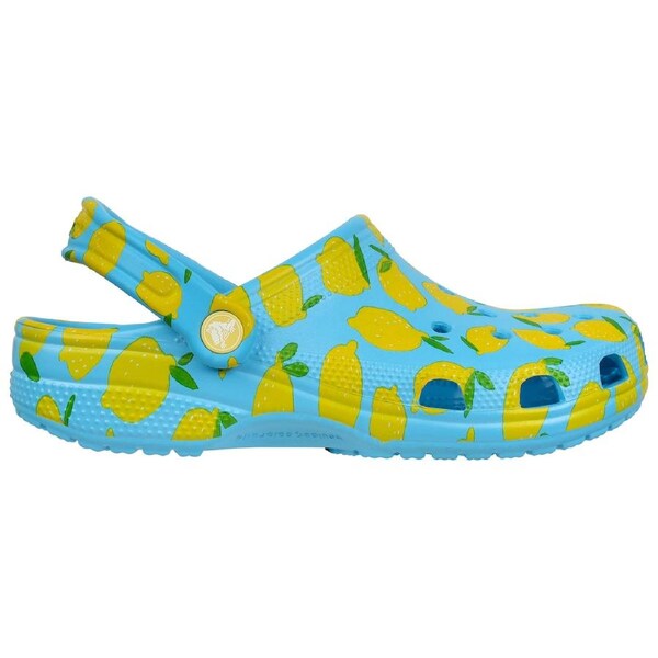 Crocs Unisex Classic Fresh Fruits Clogs Tinted Glass US M6/W8