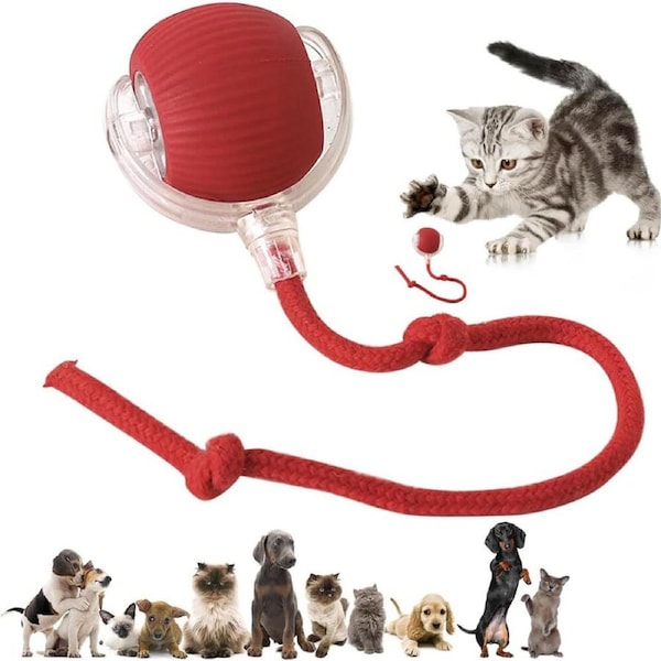 Interactive Electric Smart Pet Chase Ball stimulating Dogs Toy Cat Toy Pet Toy Red