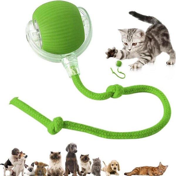 Interactive Electric Smart Pet Chase Ball stimulating Dogs Toy Cat Toy Pet Toy Green