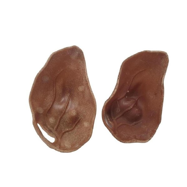 Evolution Naturals Veggie Ear Dog Treats 1pk