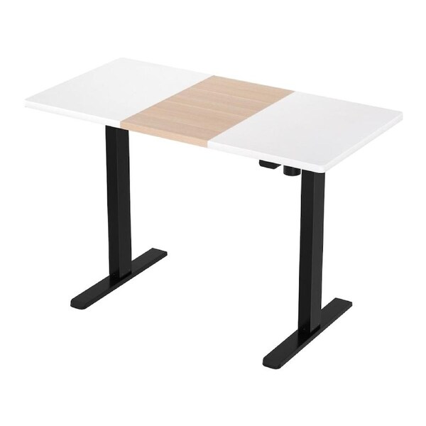 Artiss Electric Standing Desk Motorised Sit Stand Computer Desks 120/140CM 120CM Black??ak & White